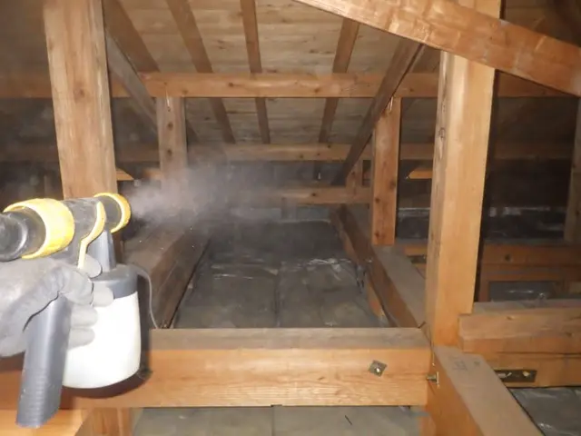 コウモリ駆除歴10年以上の有資格者多数在籍【事前見積り無料】【事前調査可能】サービスの画像