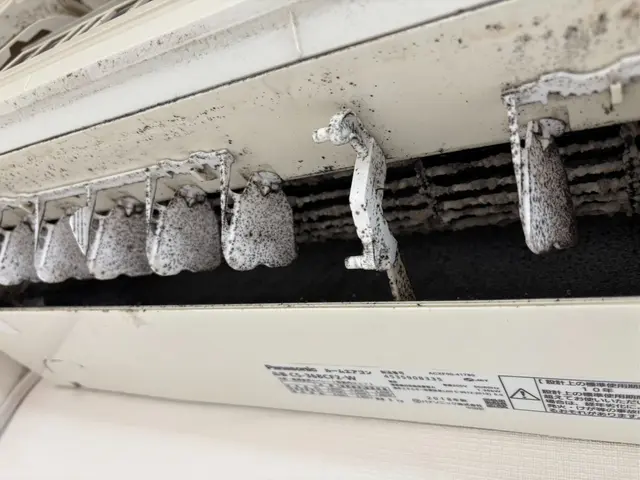 【エアコンクリーニング士】自然派洗剤で安心♪◎台数割引有◎保育園専門清掃で15年サービスの画像