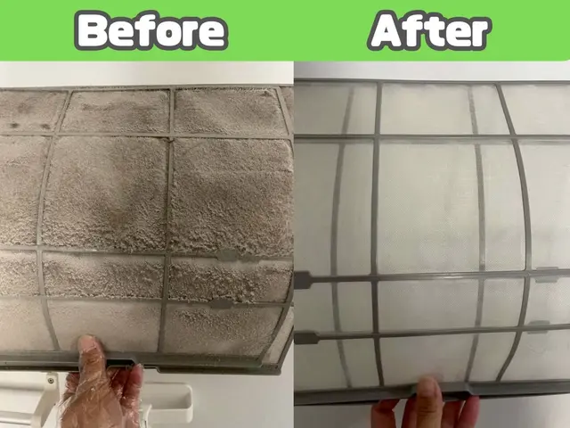 新規出店価格！6500円→5500円！私が訪問します、ペット宅.お子様宅大歓迎！サービスの画像