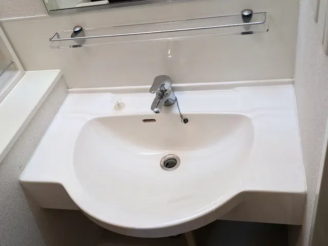 クレカOK!洗面所クリーニング《損害保険加入済み》大手での経験有!!サービスの画像