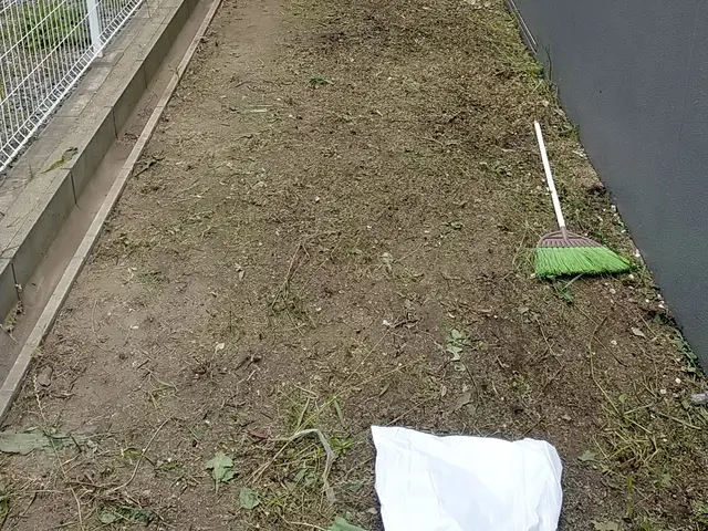 草むしり(電動.手動)サービスの画像