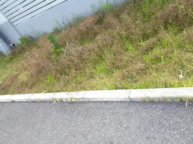 草むしり(電動.手動)サービスの画像