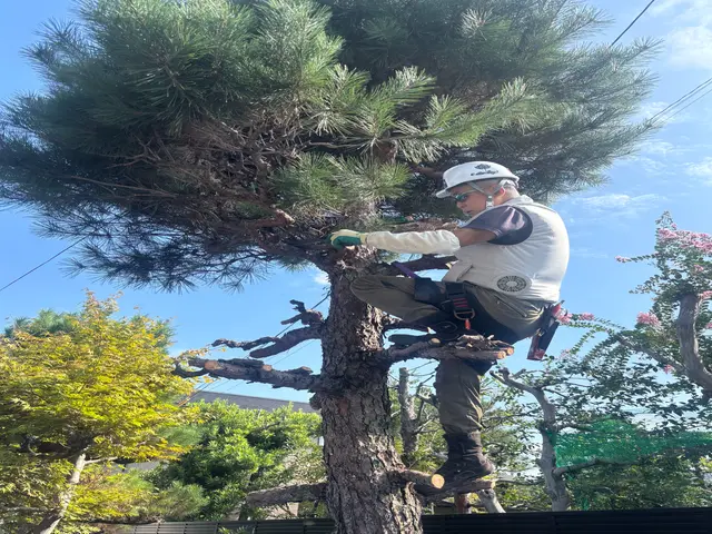 数多くの経験を生かしプロの技術で安心安全に作業いたします　庭石撤去サービスの画像