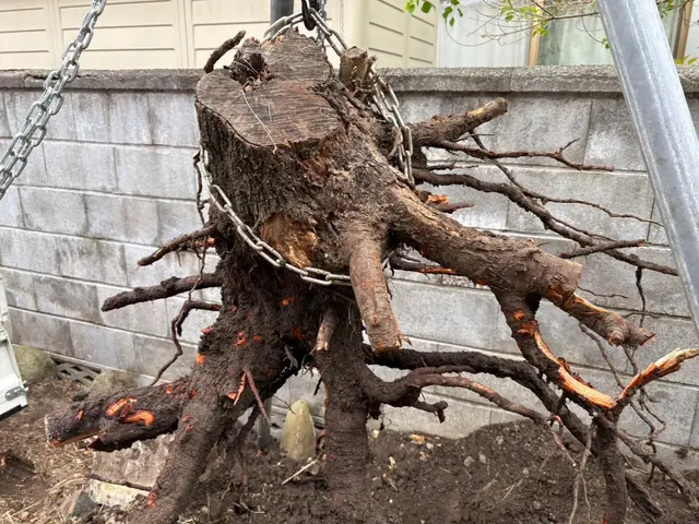 数多くの経験を生かしプロの技術で安心安全に作業いたします　庭石撤去サービスの画像