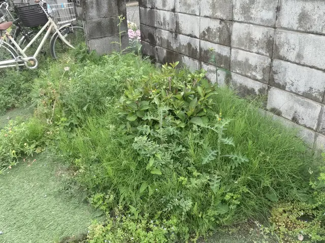 数多くの経験を生かしプロの技術で安心安全に作業いたします　庭石撤去サービスの画像