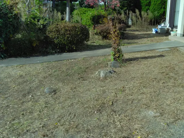 数多くの経験を生かしプロの技術で安心安全に作業いたします　庭石撤去も承ります。サービスの画像