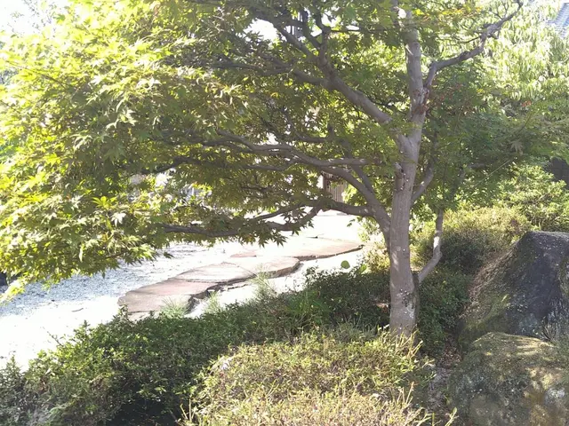 数多くの経験を生かしプロの技術で安心安全に作業いたします　庭石撤去サービスの画像