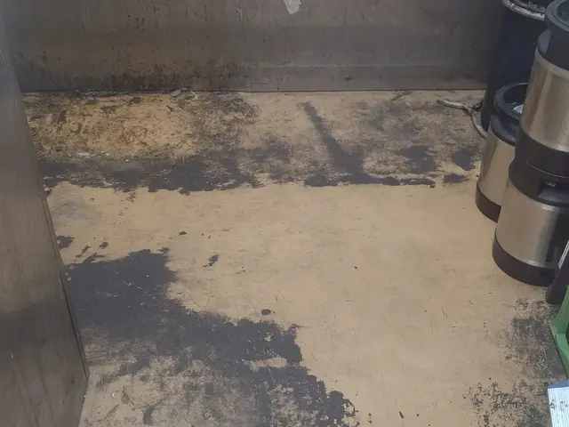 店舗清掃を月に４００軒以上こなす、８チームの精鋭部隊がお伺い致します。サービスの画像