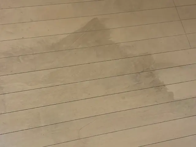 店舗清掃を月に４００軒以上こなす、12チームの精鋭部隊がお伺い致します。サービスの画像