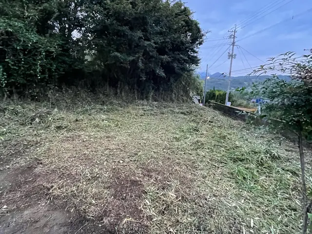 介護資格所有！小規模から大規模な草刈り全環境対応のプロショップサービスの画像