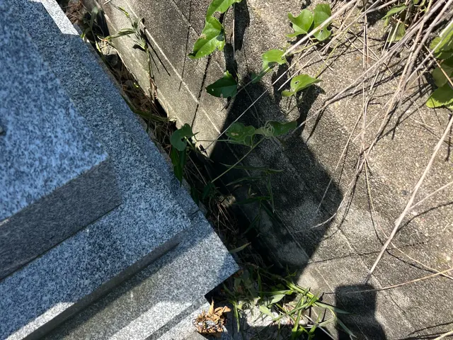 お墓参り代行・掃除・草むしり　心を込めて丁寧な作業を致します。サービスの画像