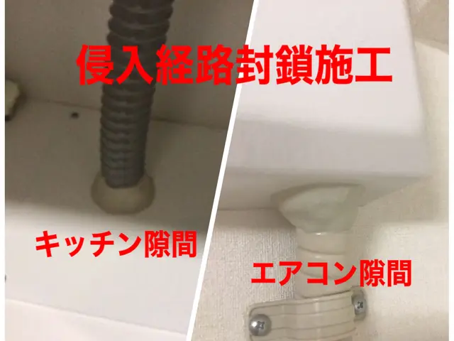 見積無料《駆除＋予防》驚異の駆除率／カード.QR決済可／プライバシー厳守サービスの画像