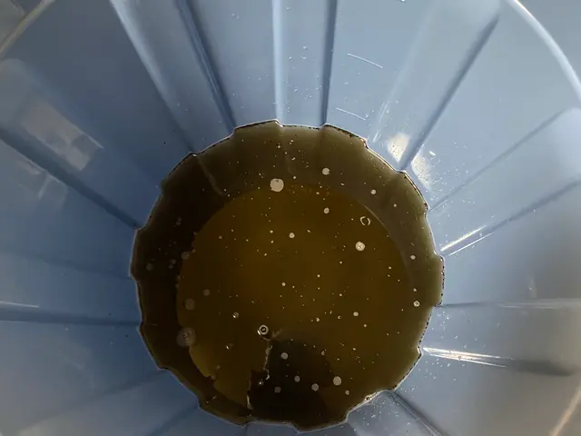 丁寧、誠実、情熱対応！人にも環境にも良い洗剤にてカビ、汚れ落としませんか？サービスの画像