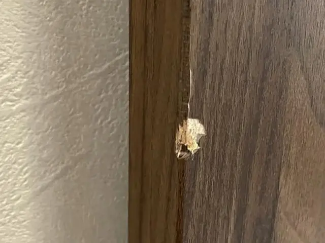 11月出店◇◆感謝の気持ちで奉仕のサービス◎賃貸退去も安心！適切な補修範囲を提案サービスの画像