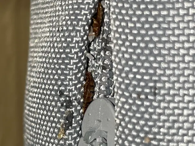 ◆トコジラミ駆除専門◆即日対応可能です！完全駆除実績多数☆お任せください！サービスの画像