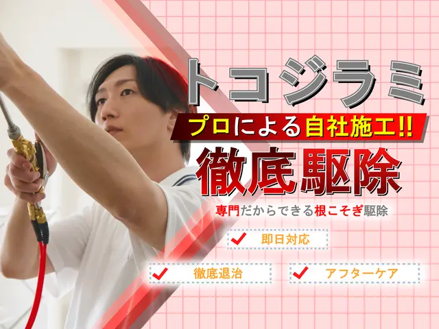 ◆トコジラミ駆除専門◆即日対応可能です！完全駆除実績多数☆お任せください！サービスの画像