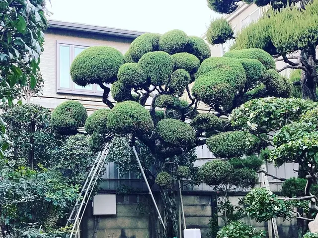 ＜業界35年！年中無休！＞駐車場代は当店負担◎作業外注なし、100％自社対応！サービスの画像