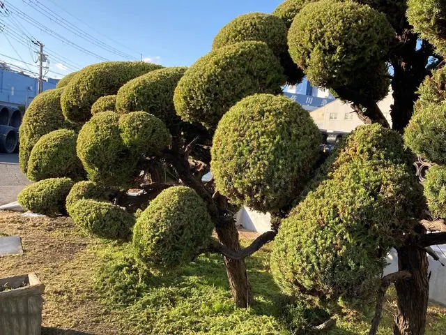 ＜業界35年！年中無休！＞駐車場代は当店負担◎作業外注なし、100％自社対応！サービスの画像