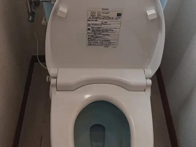 【損害保険加入済】大手引っ越しセンターの下請けで日常の業務です。サービスの画像