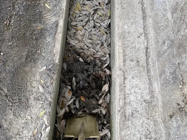 豪雨対策に「側溝掃除（ドブ掃除」【学校など公共施設で施工した実績多数】サービスの画像