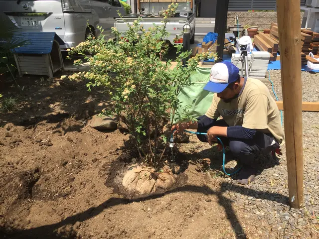 弱った植木の立て直しや、台風の倒木も支柱を設置し、しっかりと元気に戻します。サービスの画像