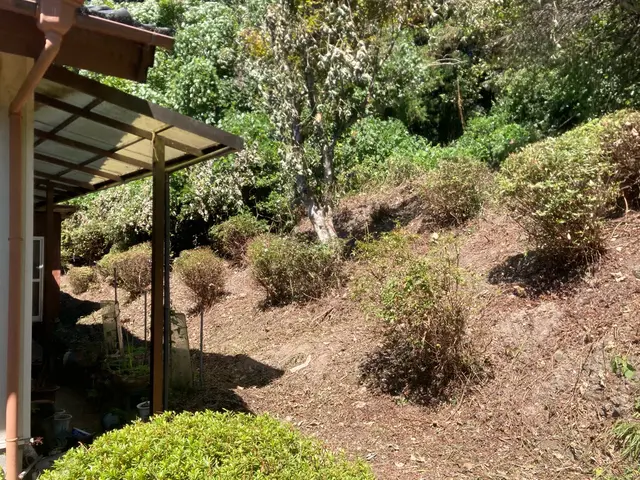 女性スタッフもおります。ご希望の方はお気軽にお声かけください♪サービスの画像