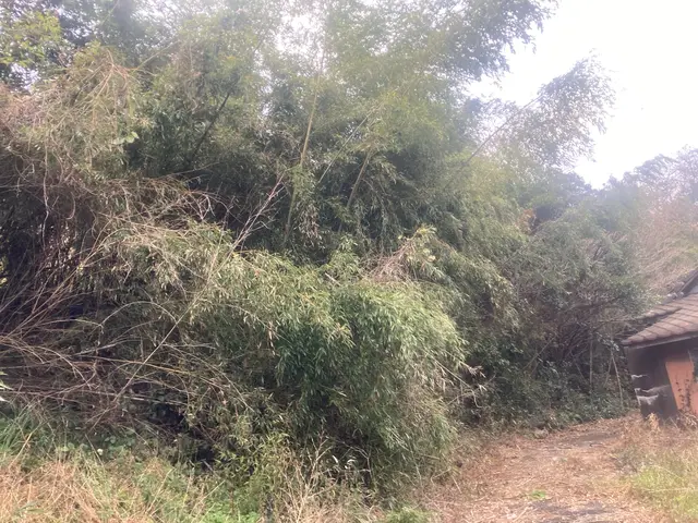 女性スタッフもおります。ご希望の方はお気軽にお声かけください♪サービスの画像