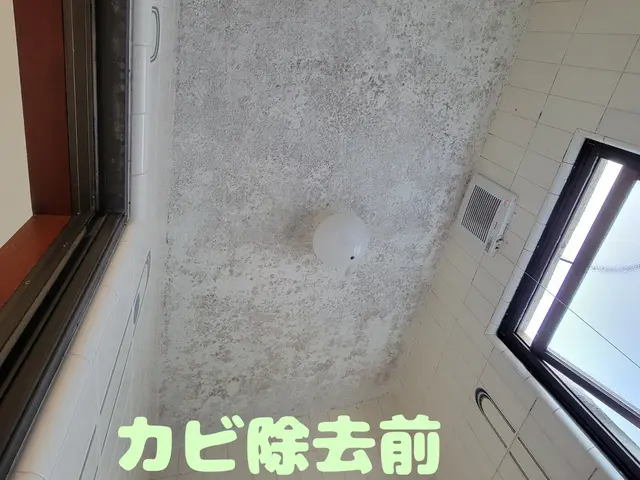 【岡山市東区発！】風呂は命の洗濯です♪サービスの画像