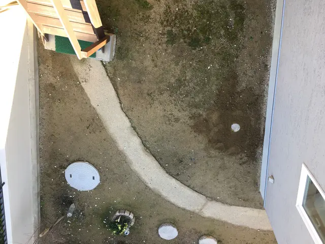 《有料P代全額負担》お庭のお困りごとをスッキリ解決！仕上がり保証ありで安心◎サービスの画像