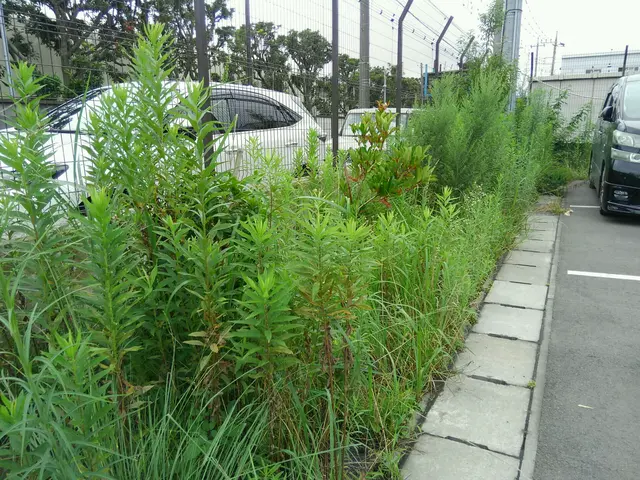 【創業25年】年中無休！庭木のお手入れ、事業所、マンション等の緑地管理承りますサービスの画像