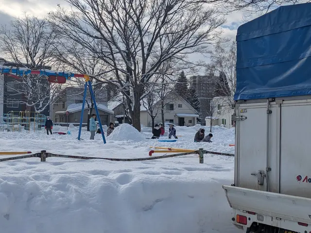 店長自ら手作業での玄関先の雪かき、屋根カーポートの雪下ろしとなりますサービスの画像