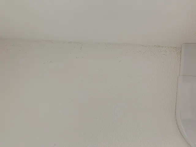 各部屋の壁紙　タバコヤニ汚れ　油汚れ　湿気でのカビ汚れ　誇りなど　綺麗にスッキリサービスの画像