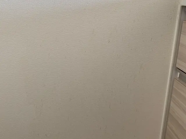 各部屋の壁紙　タバコヤニ汚れ　油汚れ　湿気でのカビ汚れ　誇りなど　綺麗にスッキリサービスの画像