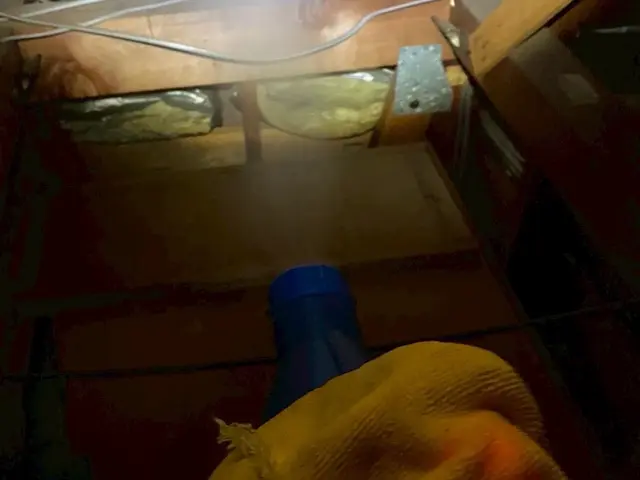 【駆除歴8年目】適正価格保証　即日対応可　真心込めて作業します！インボイス登録店サービスの画像