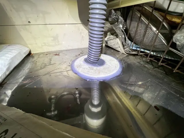 【駆除歴8年目】適正価格保証　即日対応可　真心込めて作業します！インボイス登録店サービスの画像