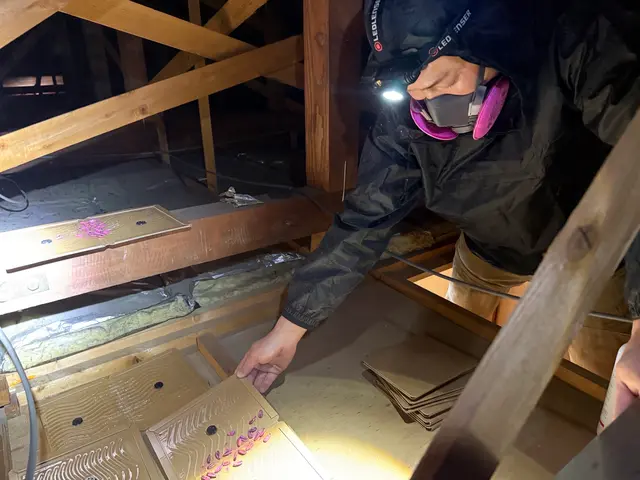 【駆除歴8年目】適正価格保証　即日対応可　真心込めて作業します！インボイス登録店サービスの画像