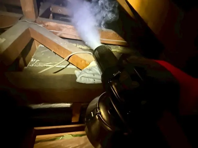 【駆除歴8年目】適正価格保証　即日対応可　真心込めて作業します！インボイス登録店サービスの画像