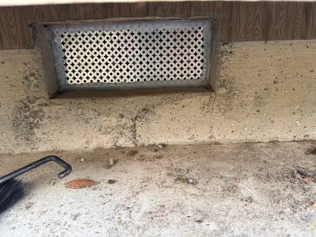 【駆除歴8年目】適正価格保証　即日対応可　真心込めて作業します！インボイス登録店サービスの画像