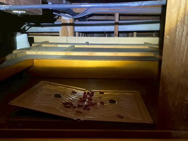 お客様の「本当に助かった」の声がやりがい。真心込めて作業します！インボイス登録店サービスの画像