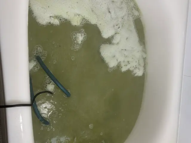 プロの技術でご満足いただけるように心を込めて作業いたしますサービスの画像