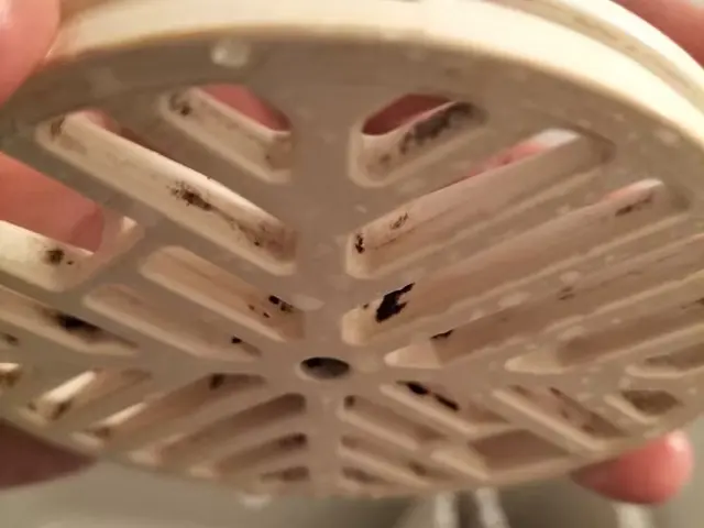 《年中無休》納得価格の徹底清掃！お子様、ペットに安心の抗菌コーティングも！サービスの画像