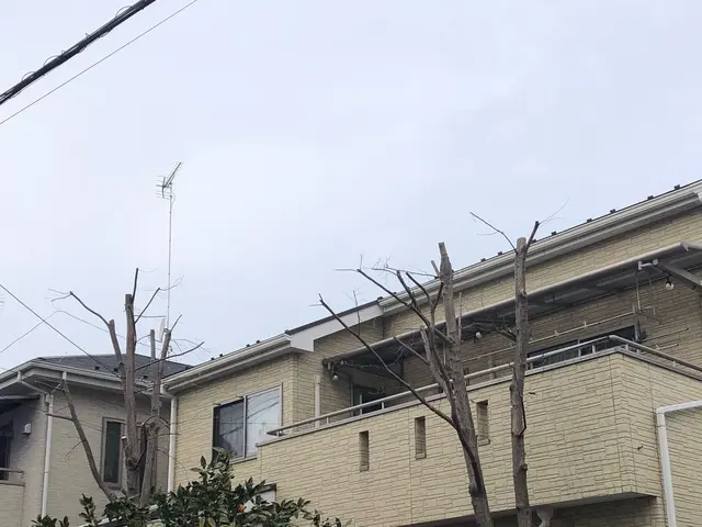 ＜損害保険加入済みで安心◎＞対応地域外のご予約も相談可能です！サービスの画像