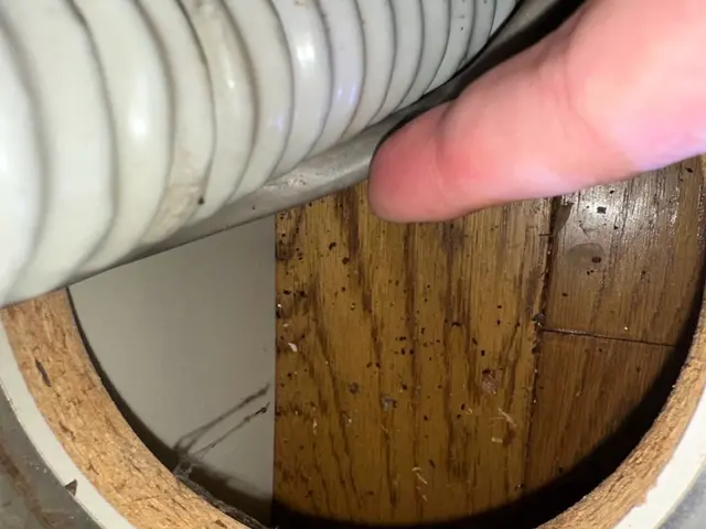 もう怖くない！ゴキブリお家ゼロ作戦！有資格者のプロが清潔にゴキブリ対策を実現！サービスの画像