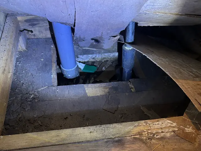 もう怖くない！ゴキブリお家ゼロ作戦！有資格者のプロが清潔にゴキブリ対策を実現！サービスの画像