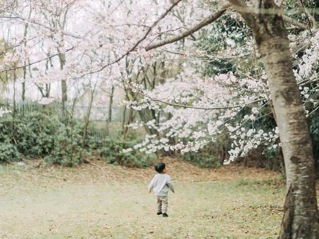 その人らしさを大切にした家族写真。こどもたちの自然な姿を残します。