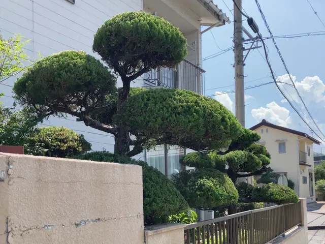 一本、一本丁寧に。やってもらって良かったと思われる様なお手入れをさせて頂きます。サービスの画像