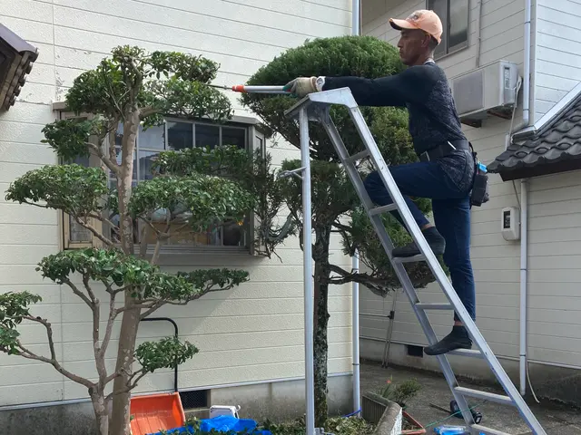 一本、一本丁寧に。やってもらって良かったと思われる様なお手入れをさせて頂きます。サービスの画像