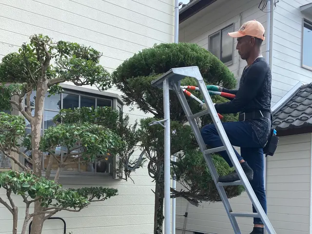 一本、一本丁寧に。やってもらって良かったと思われる様なお手入れをさせて頂きます。サービスの画像