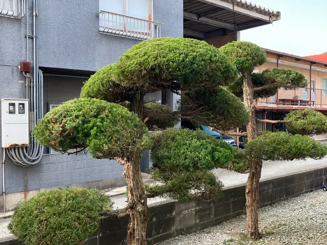 一本、一本丁寧に。やってもらって良かったと思われる様なお手入れをさせて頂きます。サービスの画像