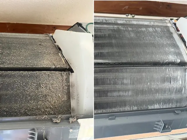 【プロが丁寧にクリーニング】エアコン内部まで徹底洗浄サービスの画像
